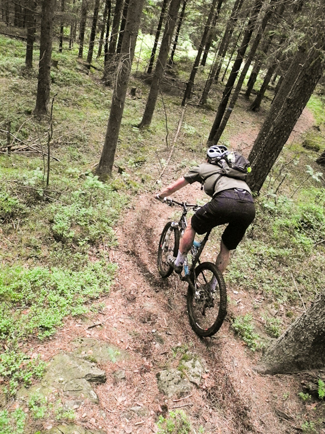 MOT SØRKEDALEN: I fjor foregikk Oslo-Enduro i skråningen over Maridalen. I år flytter rittet vestover til Sørkedalen. Her ned fra Bjordammen. MOT SØRKEDALEN: I fjor foregikk Oslo-Enduro i skråningen over Maridalen. I år flytter rittet vestover til Sørkedalen. Her ned fra Bjordammen.