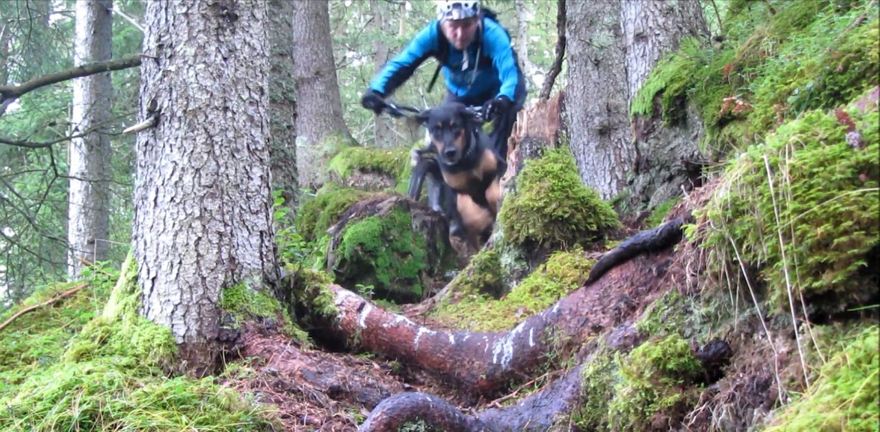 VOFF! Christian Green tar med seg sin firbente halvdel når han sykler sti. VOFF! Christian Green tar med seg sin firbente halvdel når han sykler sti.