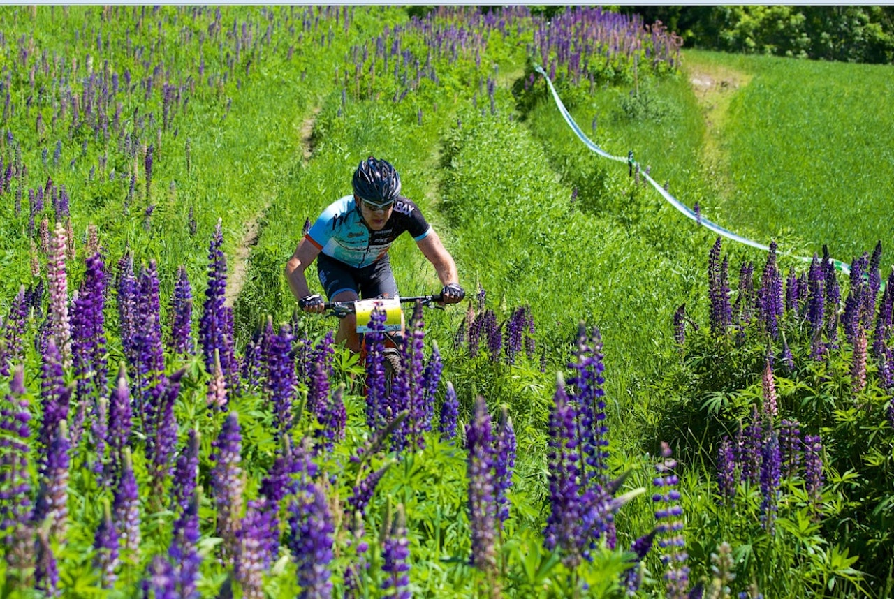 LIKTE LØYPEN: Den nye løypen ble rost opp i skyene: - Det var en perfekt balanse mellom raske og tekniske stier, sa årets vinner Greg Saw etter Vestmarkrittet. LIKTE LØYPEN: Den nye løypen ble rost opp i skyene: - Det var en perfekt balanse mellom raske og tekniske stier, sa årets vinner Greg Saw etter Vestmarkrittet.