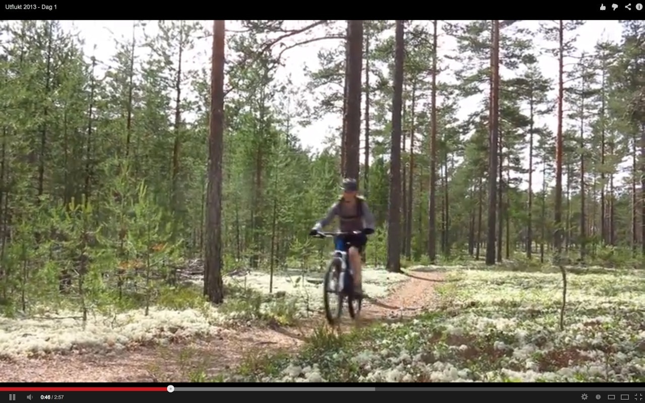 FINE STIER: Både Elverum og Trysil har stier med flyt og fart. FINE STIER: Både Elverum og Trysil har stier med flyt og fart.