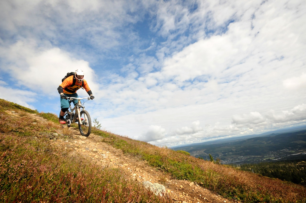 KLART Trysils varierte stier venter på Utflukt-gjester. KLART Trysils varierte stier venter på Utflukt-gjester.