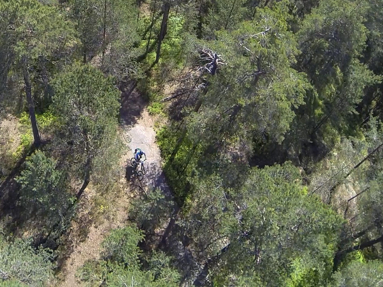 TØRRERE ENN TØRT: Tradisjonen tro har det  aldri vært bedre forhold under Terrengsykkelrittet. Enda godt regnværet kom tilbake før Østmarka fant det for godt å selvantenne. TØRRERE ENN TØRT: Tradisjonen tro har det  aldri vært bedre forhold under Terrengsykkelrittet. Enda godt regnværet kom tilbake før Østmarka fant det for godt å selvantenne.