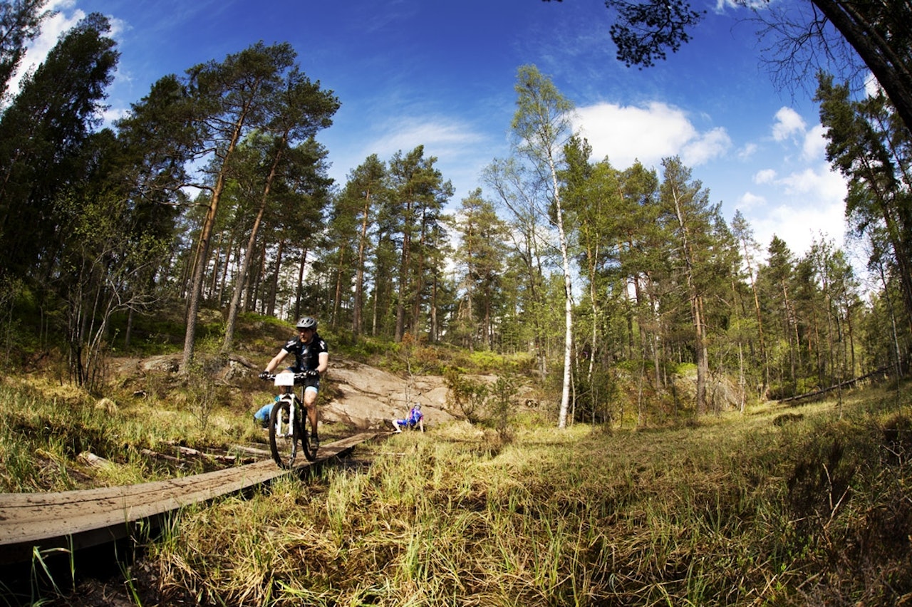 OGSÅ FOR SYKLISTER: I forslaget Fylkesmannen har sendt til Miljøverndepartementet om vern av enkelte områder i Marka nevnes ikke forbud mot sykling på blåmerket sti. Bildet er fra årets Terrengsykkelritt. OGSÅ FOR SYKLISTER: I forslaget Fylkesmannen har sendt til Miljøverndepartementet om vern av enkelte områder i Marka nevnes ikke forbud mot sykling på blåmerket sti. Bildet er fra årets Terrengsykkelritt.