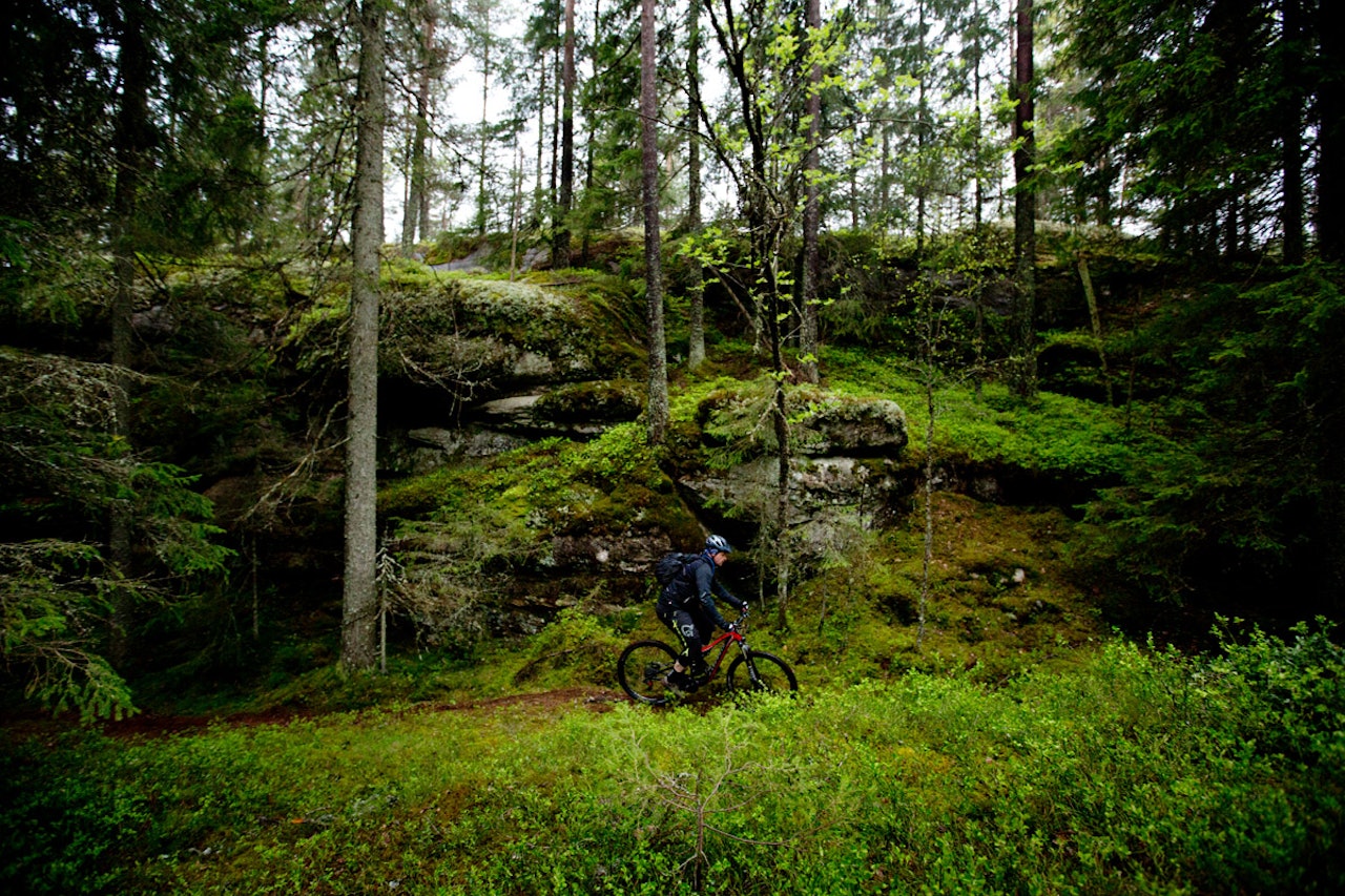 NY MARK: Are Sørensen fra NOTS sjekker ut nye stier rundt Skullerud NY MARK: Are Sørensen fra NOTS sjekker ut nye stier rundt Skullerud