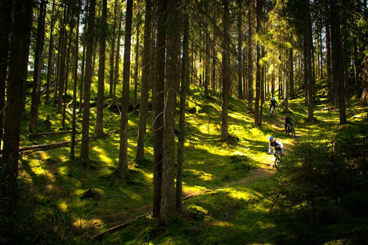TROLLSKOGEN:Benytt helgen til å sjekke ut nye stier med andre syklister! TROLLSKOGEN:Benytt helgen til å sjekke ut nye stier med andre syklister!