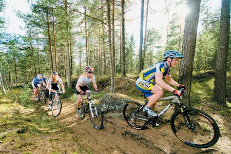 VILL GALLOPP: Medaljegrossist Jostein Hole leder an i rittsimulering på sti i Østmarka. Knut Aaser, Aslak Mørstad, Øyvind Aas og Lars Eftang biter seg fast. Foto: vegard breie. VILL GALLOPP: Medaljegrossist Jostein Hole leder an i rittsimulering på sti i Østmarka. Knut Aaser, Aslak Mørstad, Øyvind Aas og Lars Eftang biter seg fast. Foto: vegard breie.