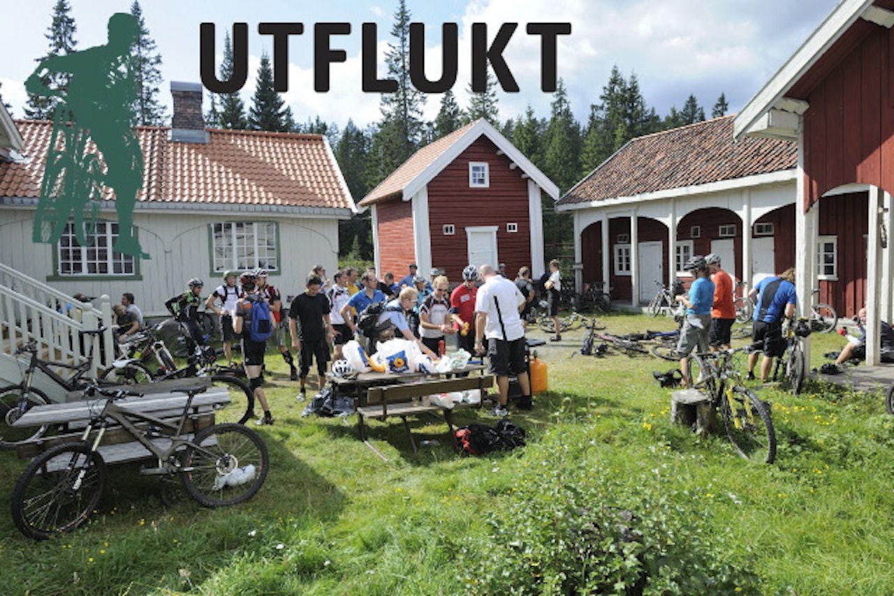 GOD STEMNING under fjorårets utflukt. Alle foto: Endre Løvaas GOD STEMNING under fjorårets utflukt. Alle foto: Endre Løvaas