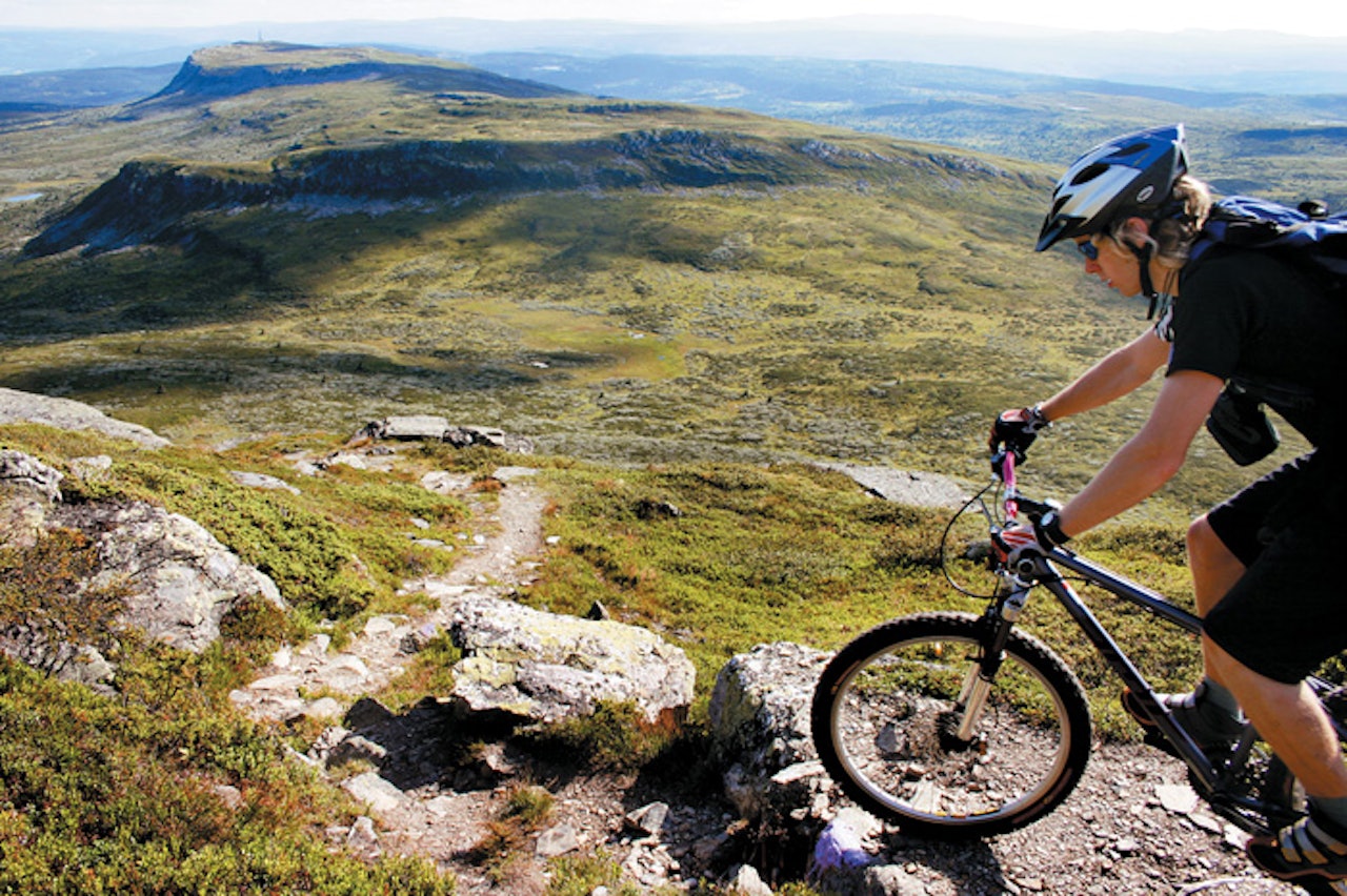 Fine stier på Skeikampen ligger å venter. Fine stier på Skeikampen ligger å venter.