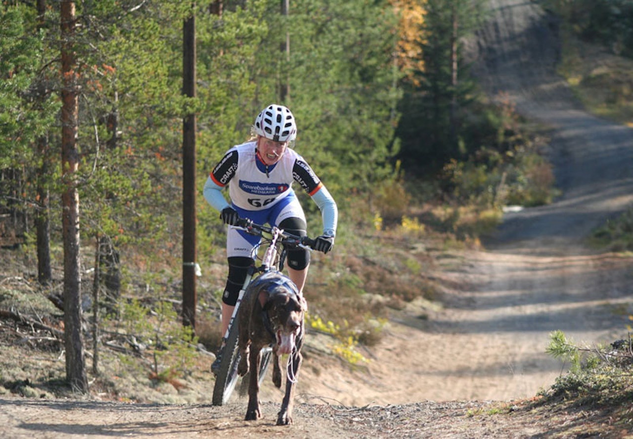 HUNDELIV: Linn Beate og hunden Basso gir gass i et løp i Elverum i fjor sommer. HUNDELIV: Linn Beate og hunden Basso gir gass i et løp i Elverum i fjor sommer.
