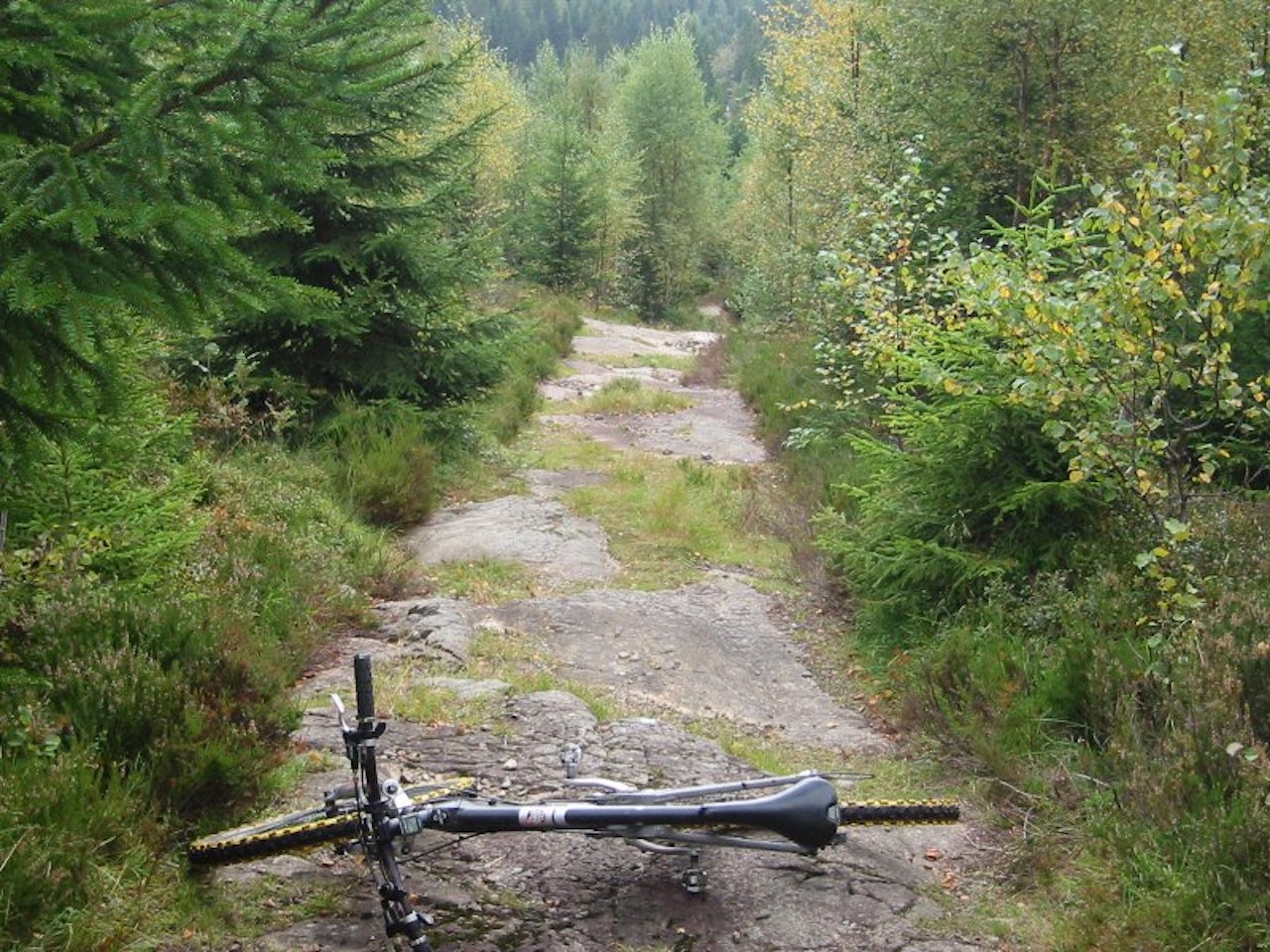 Dead Patriot? «It's not dead, it's resting!» Fotos: Dan Ullén Dead Patriot? «It's not dead, it's resting!» Fotos: Dan Ullén