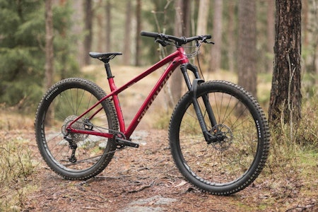 RØDT RÅSKINN: Vi har testet sti-hardtailen Specialized Fuse. Foto: Kristoffer H. Kippernes test specialized sykkel fuse hardtail stisykkel