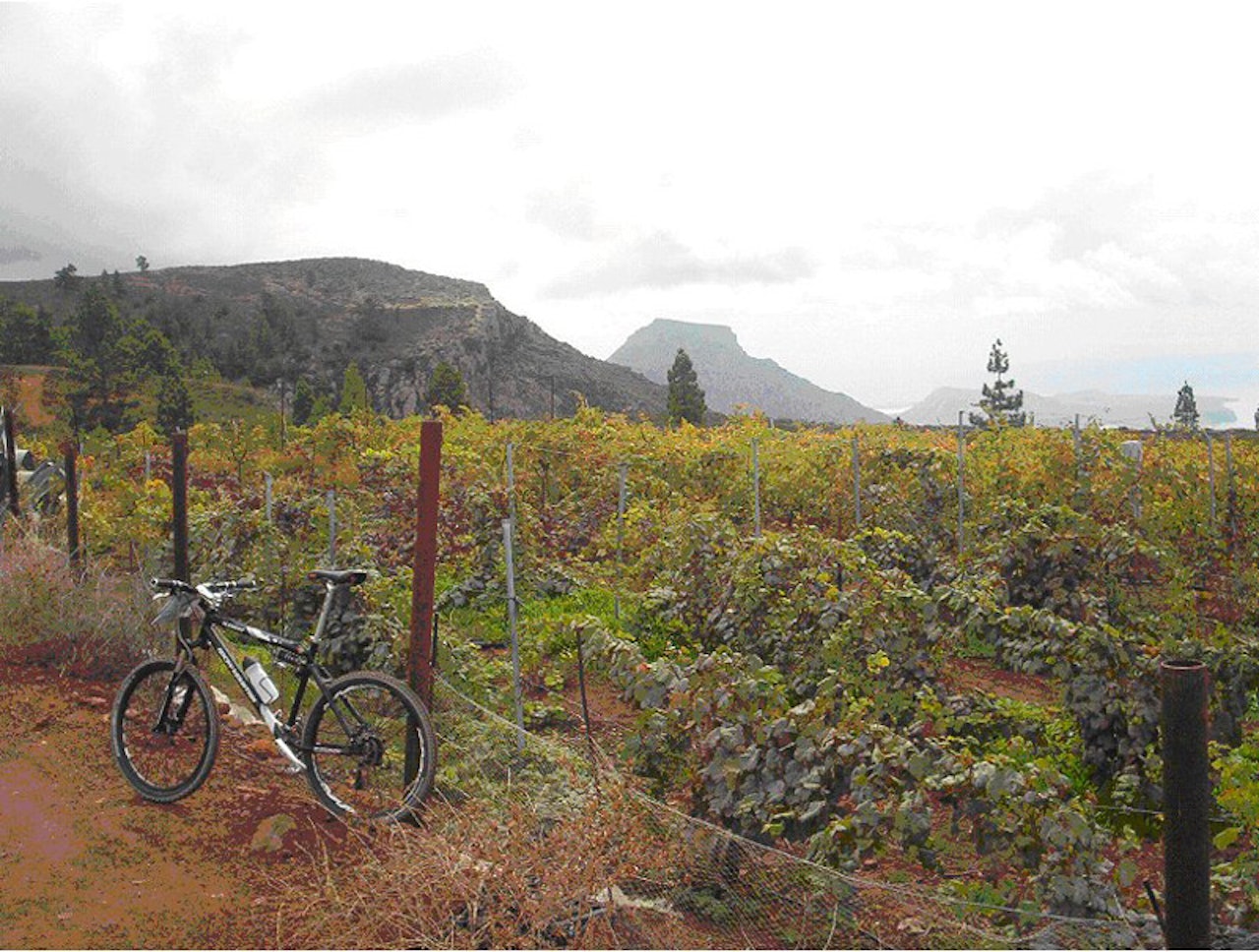 Pitoreskt: Ved Taucho tar man av inn på en grusvei mellom åkerlapper og vinranker før man tar inn på en sti inn i en liten canyon frem til La Boca del Paso, passets munn. Turen opp hit er ca 25 km, og tar ca to timer. Pitoreskt: Ved Taucho tar man av inn på en grusvei mellom åkerlapper og vinranker før man tar inn på en sti inn i en liten canyon frem til La Boca del Paso, passets munn. Turen opp hit er ca 25 km, og tar ca to timer.