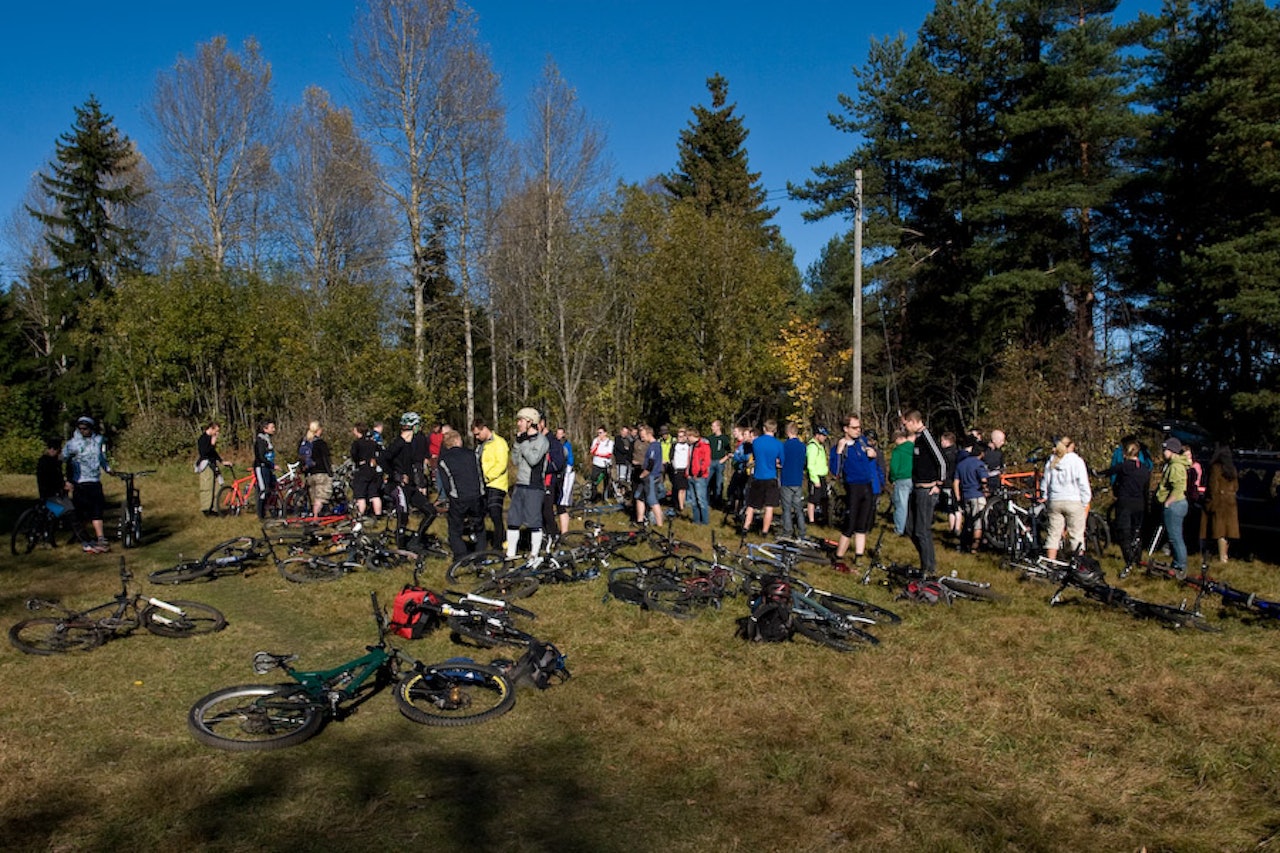 Grindajordet: Et oversiktsfoto fra åstedet under DDD i fjor. Foto: Vegar Nilsen Grindajordet: Et oversiktsfoto fra åstedet under DDD i fjor. Foto: Vegar Nilsen