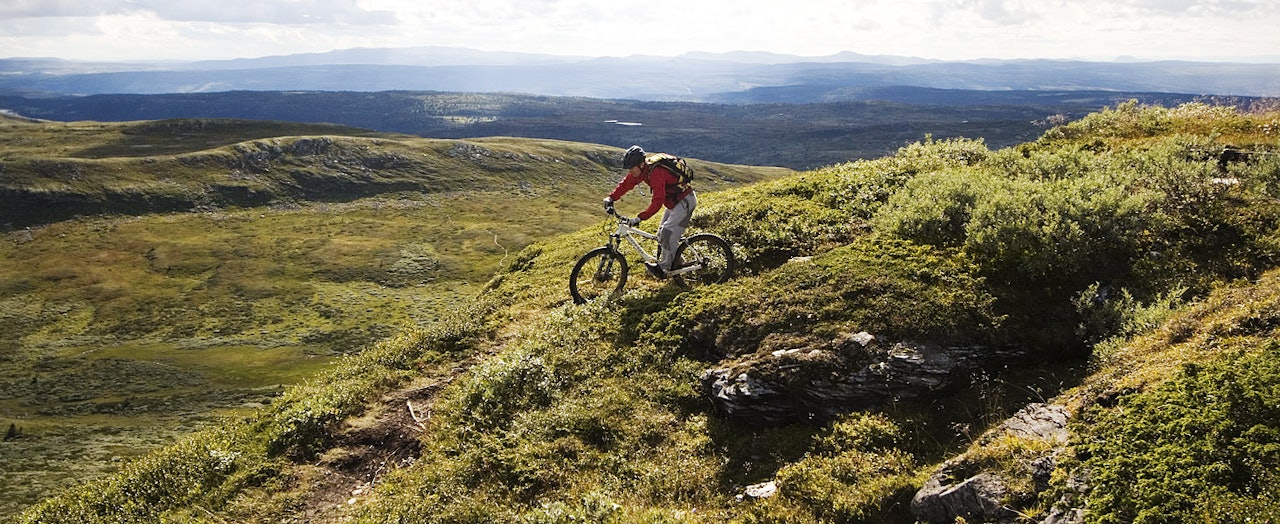 Klassiker:Arild Gravdal tok turen fra Bergen for å sykle sti på Utflukt – og fikk selvsagt også med klassiker-ruta ned Prestkampen. I bakgrunnen Avlundkampen og stien opp sørover fra Pølsekrysset. Foto: Geir Anders Rybakken Ørslien Klassiker:Arild Gravdal tok turen fra Bergen for å sykle sti på Utflukt – og fikk selvsagt også med klassiker-ruta ned Prestkampen. I bakgrunnen Avlundkampen og stien opp sørover fra Pølsekrysset. Foto: Geir Anders Rybakken Ørslien
