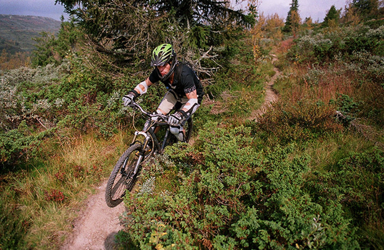Svisj: Leif Nielsen fra Sykkel & Fritid kastet ikke bort tida på Skeikampen. Her hygger han seg med en GT Ruckus og noen kilometer gromsti på vestsida av Skeikampen søndag formiddag. Og ja: Dette gikk fort! Svisj: Leif Nielsen fra Sykkel & Fritid kastet ikke bort tida på Skeikampen. Her hygger han seg med en GT Ruckus og noen kilometer gromsti på vestsida av Skeikampen søndag formiddag. Og ja: Dette gikk fort!