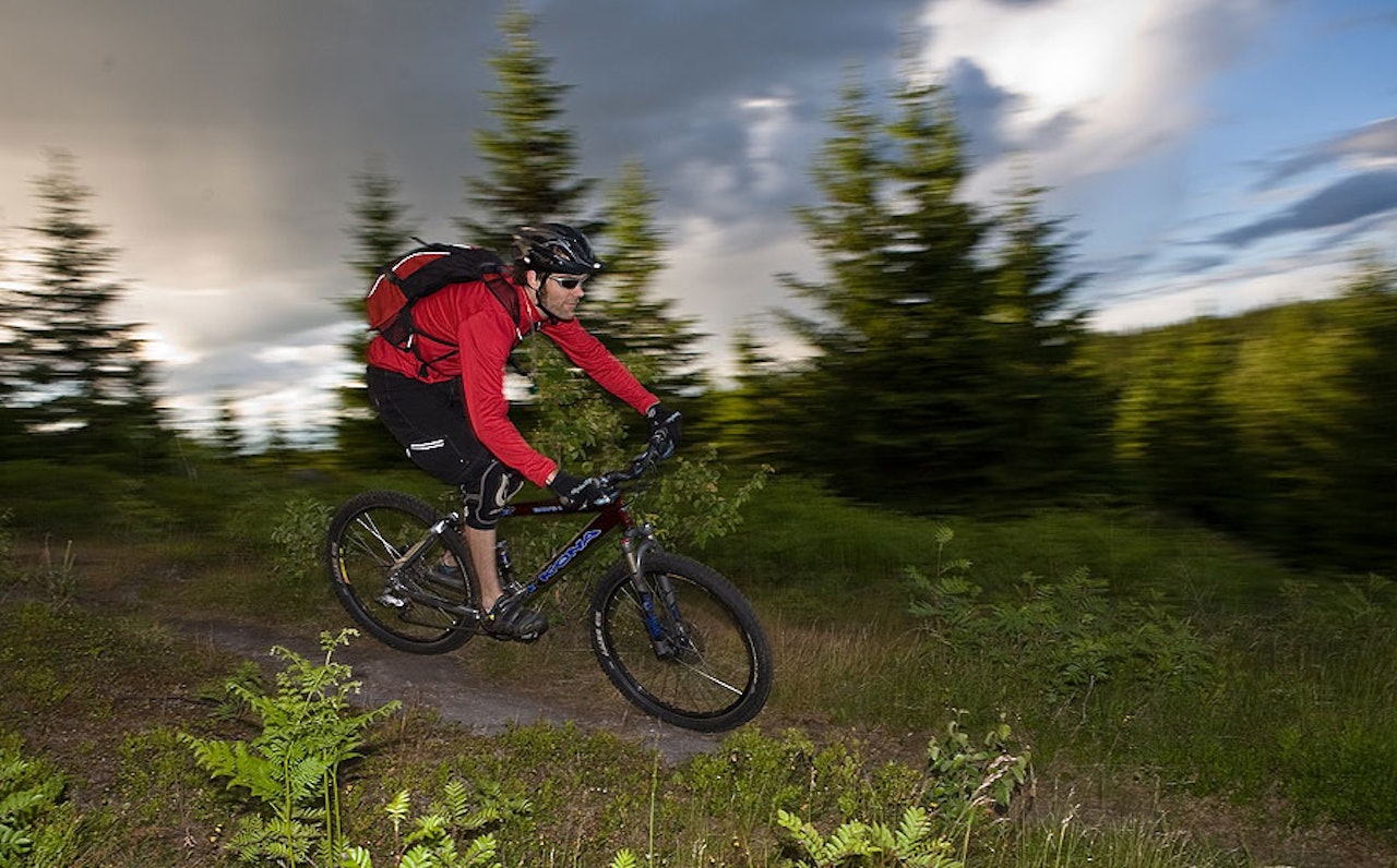 TJÆREGRASHØGDA: Forumets BTM gir gass i Bærumsmarka. Bli med på tur på søndag. TJÆREGRASHØGDA: Forumets BTM gir gass i Bærumsmarka. Bli med på tur på søndag.