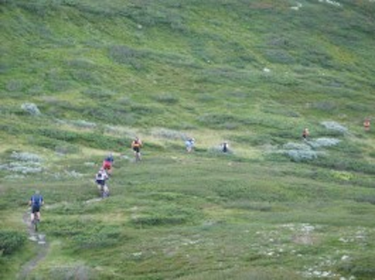 STISYKLING FOR ALLE: Utflukt byr på høyfjellssykling på fine stier for alle. Foto: Jørgen Sæther STISYKLING FOR ALLE: Utflukt byr på høyfjellssykling på fine stier for alle. Foto: Jørgen Sæther