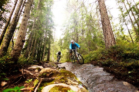 Geitfjellet er et av de mest populære turmålene i Bymarka. Petter Andreas Strøm og Arne Radmann setter dekkene på prøve. / Stisykling i Norge. Geitfjellet er et av de mest populære turmålene i Bymarka. Petter Andreas Strøm og Arne Radmann setter dekkene på prøve. / Stisykling i Norge.