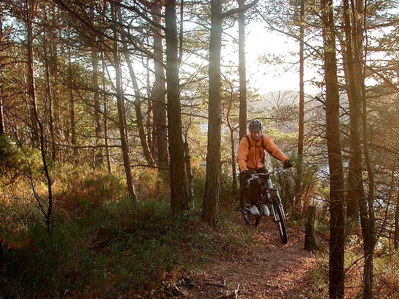 Ahhh: Hans Devik nyter høststi på flunkende ny premiesykkel hjemme i Bergen. Ahhh: Hans Devik nyter høststi på flunkende ny premiesykkel hjemme i Bergen.