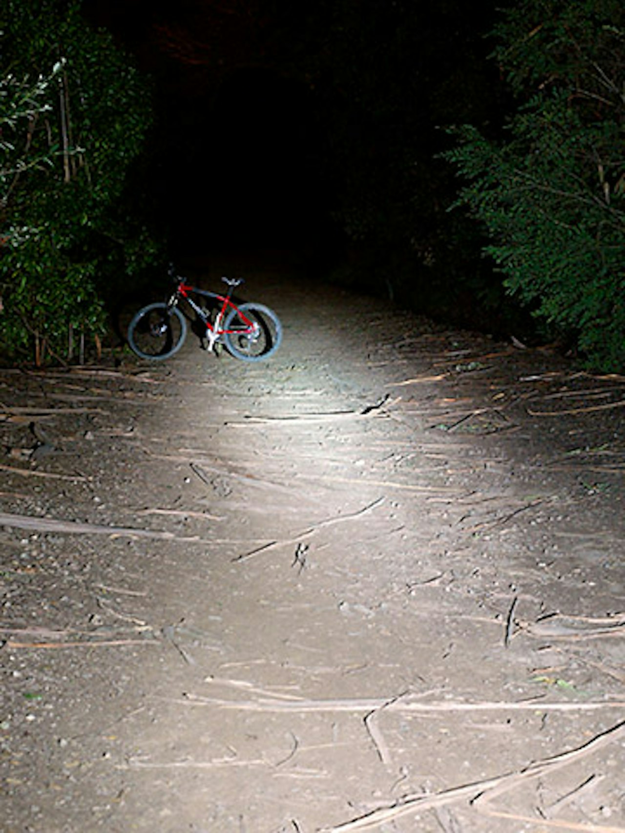 Bli lys: Dette får du ikke sjekket i butikken. Derfor inviterer vi lykte-eiere til fotosession. Bli lys: Dette får du ikke sjekket i butikken. Derfor inviterer vi lykte-eiere til fotosession.