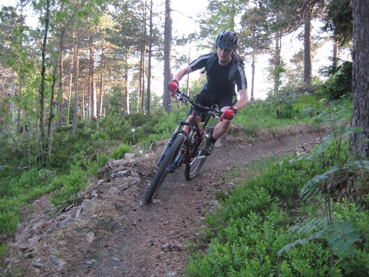 Klassiker: Terje S. Mork prøvekjører en av de gamle løypene som har ligget i Grefsen og ventet på nysatsingen. Begge foto: Ola Martin Rekstad Klassiker: Terje S. Mork prøvekjører en av de gamle løypene som har ligget i Grefsen og ventet på nysatsingen. Begge foto: Ola Martin Rekstad