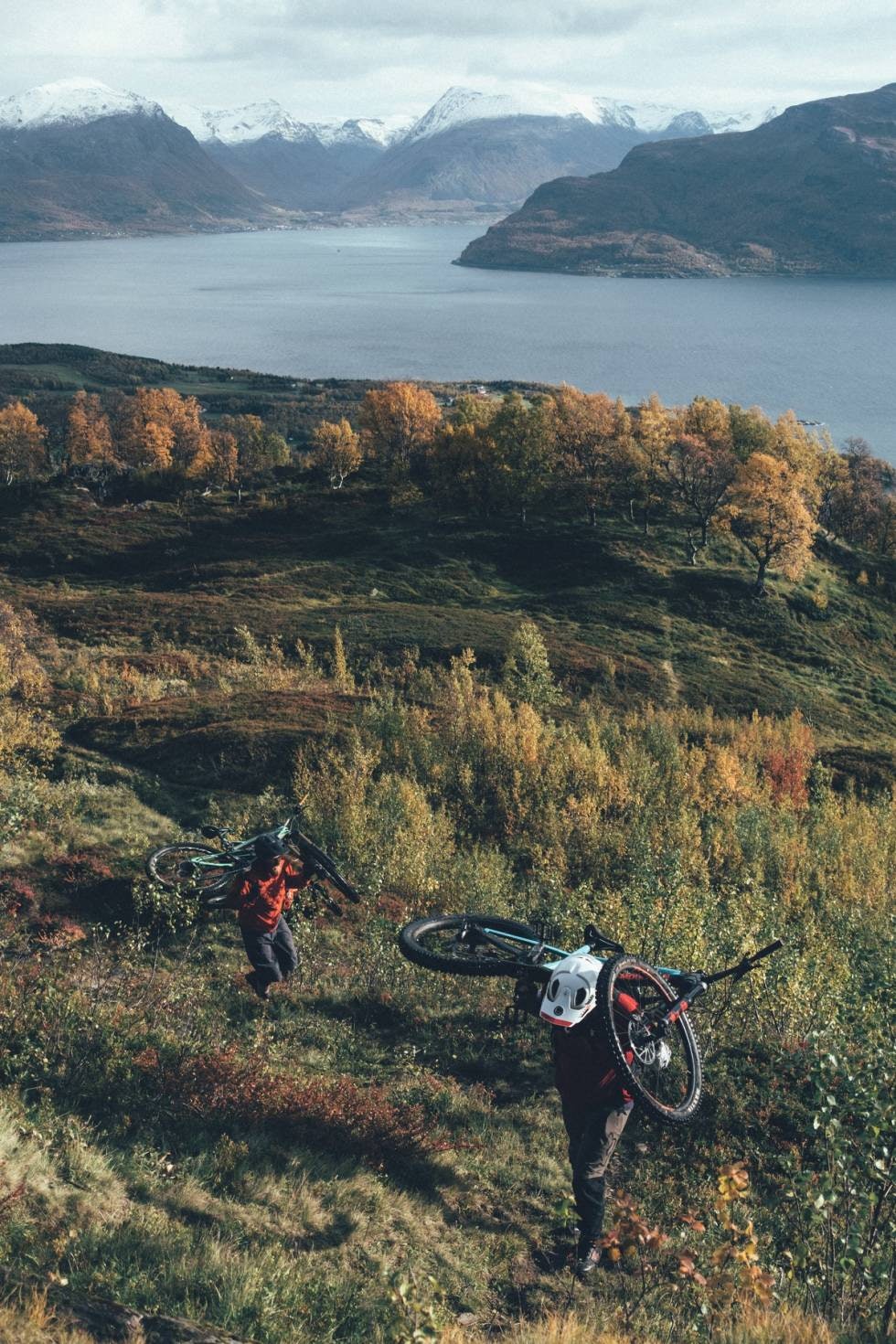 FJELLVEIEN: Patrik Jonsson og Mikael Grumstedt bærer syklene opp idet det bratner til fra treklyngen, der det etablerte stisenteret slutter og høyfjellet over starter.