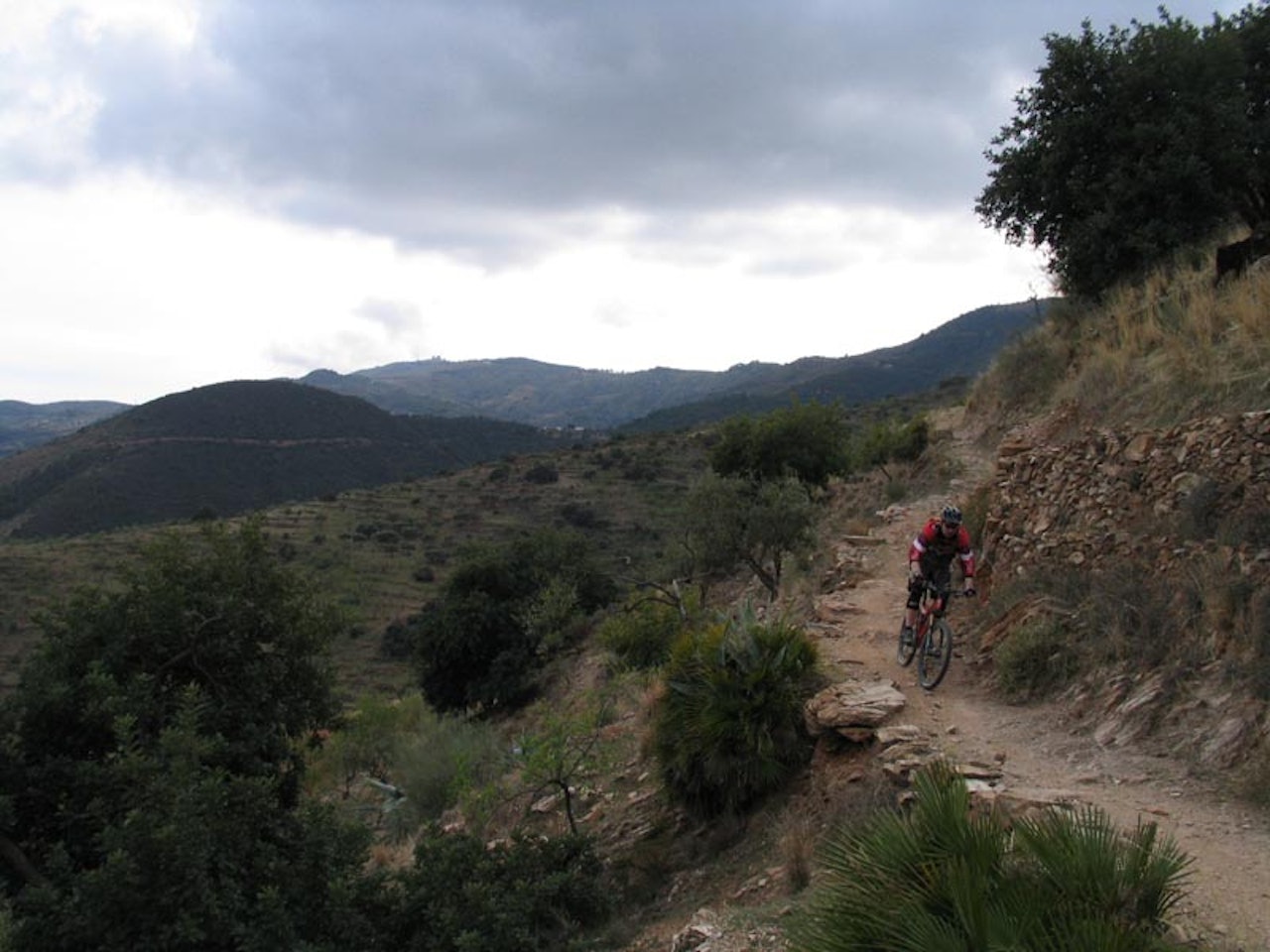 Jørgen, while riding some of his favourite singletrack Jørgen, while riding some of his favourite singletrack