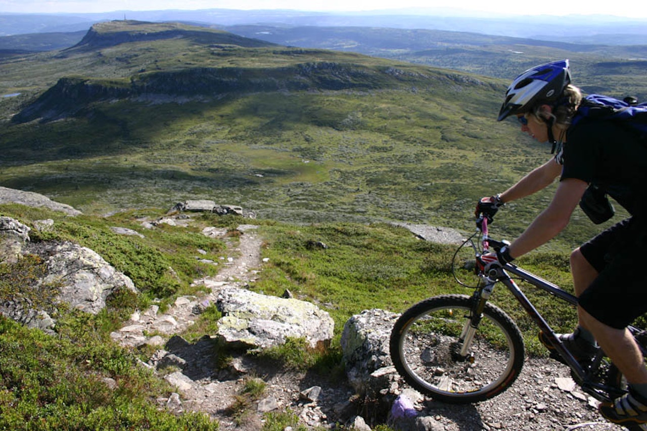 Høyt oppe: Kristoffer Kippernes nyter utsikten fra Prestkampen - årets heteste sti-nyhet på Utflukt 2004. Høyt oppe: Kristoffer Kippernes nyter utsikten fra Prestkampen - årets heteste sti-nyhet på Utflukt 2004.