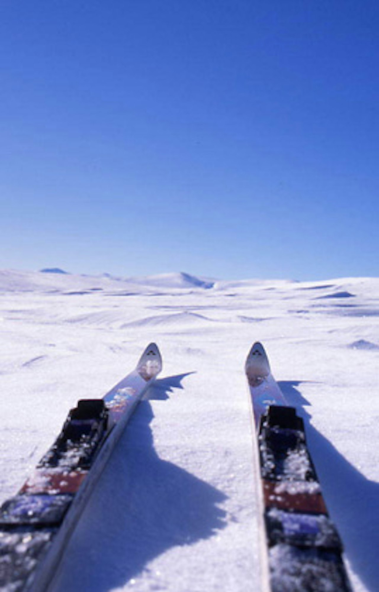 Akkurat nå ligger forholda mer til rette for skigåing enn sykling i det meste av Sør-Norge. Også i Kristiansand. Foto: Anders P. Gjengedal. Akkurat nå ligger forholda mer til rette for skigåing enn sykling i det meste av Sør-Norge. Også i Kristiansand. Foto: Anders P. Gjengedal.