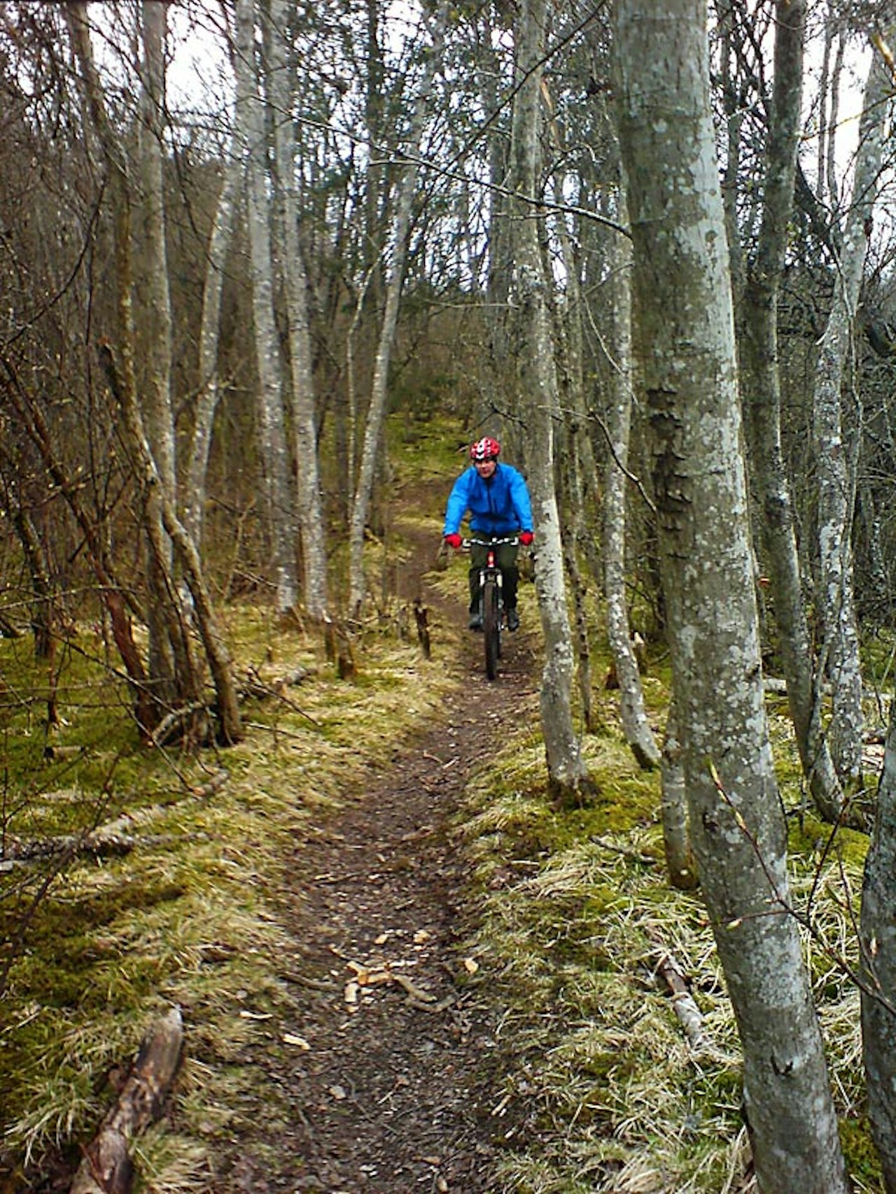 Endelig bart: Nidelvstien er ukas stalltips for Trondheimssyklister med barmarks-abstinenser. Bjarte Mongstad hadde det brillefint i går. Mobilfoto: Henrik Grytbakk Endelig bart: Nidelvstien er ukas stalltips for Trondheimssyklister med barmarks-abstinenser. Bjarte Mongstad hadde det brillefint i går. Mobilfoto: Henrik Grytbakk