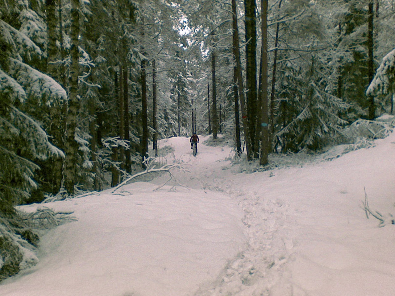 E6 i Nordmarka: Karin Hellebostad Toft strevde med føreforholdene langs E6-stien mellom Ankerveien og Ullevålseter lørdag 12. april. Nedre halvdel av stien er bar, resten full av snø. E6 i Nordmarka: Karin Hellebostad Toft strevde med føreforholdene langs E6-stien mellom Ankerveien og Ullevålseter lørdag 12. april. Nedre halvdel av stien er bar, resten full av snø.