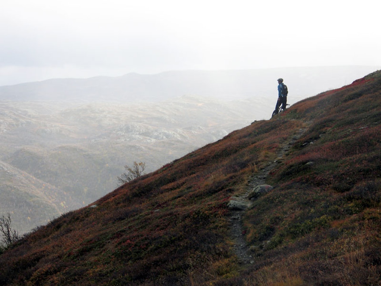 Det er lov til å drømme seg bort en smule i mørketiden. Vi har mye moro å se frem imot. Det er lov til å drømme seg bort en smule i mørketiden. Vi har mye moro å se frem imot.