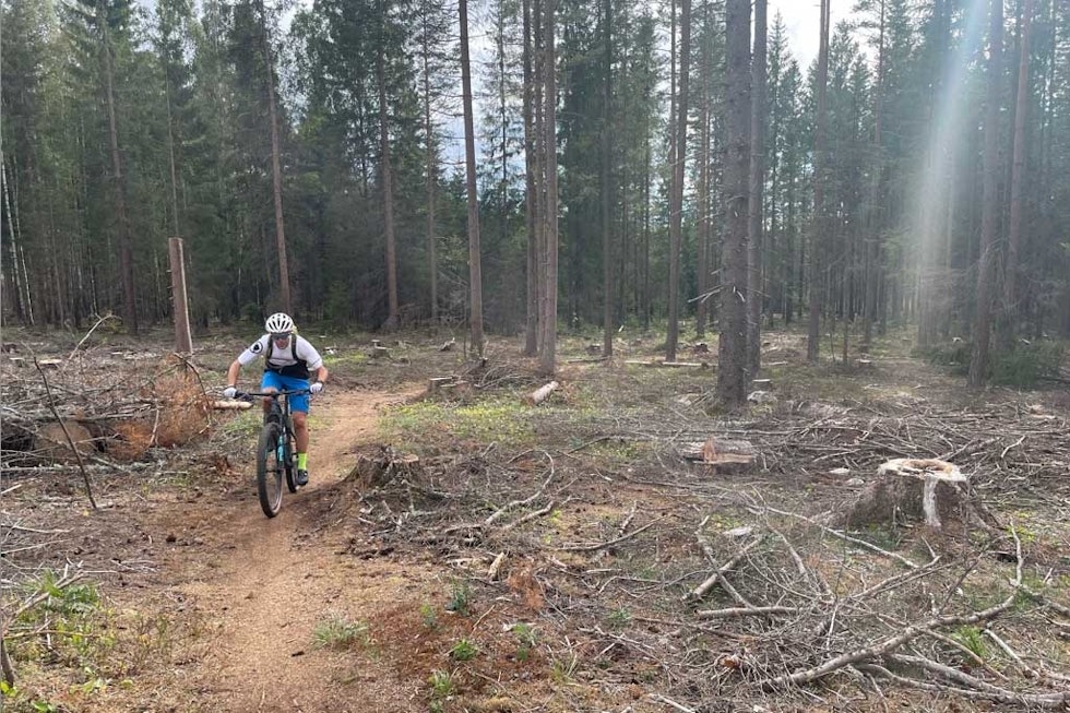 FINT TERRENG: Stiene er fine både for nybegynnere og øvede. Foto: Øyvind Aas maridalsrunden tips gps parkering spor