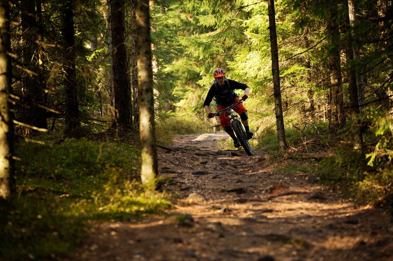 Terje S. R. Mork på vei ned fra Barlindåsen. / Stisykling i Norge. Terje S. R. Mork på vei ned fra Barlindåsen. / Stisykling i Norge.