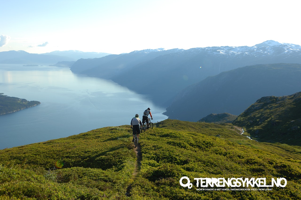 Matt Hunter og Andrew Shandro nyter utsikten over Hardangerfjorden. Etterpå plukket de plommer. Matt Hunter og Andrew Shandro nyter utsikten over Hardangerfjorden. Etterpå plukket de plommer.