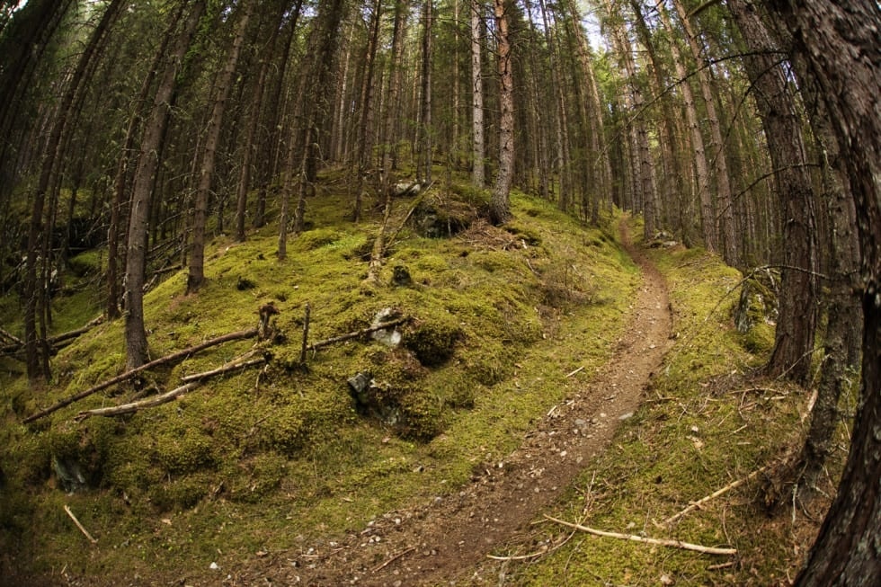 KJENT: Påskestien i Nesbyen er et ettertraktet turmål. Foto: Kristoffer H. Kippernes