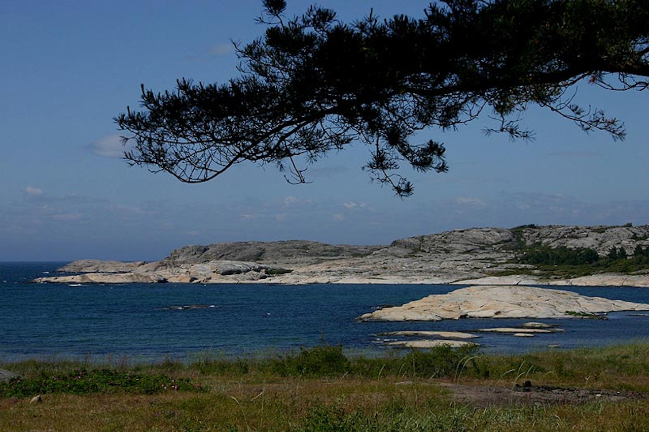 Eventyr: Langt, langt borte saa han noget lyse og glitre... kommentar stisykling skråblikk