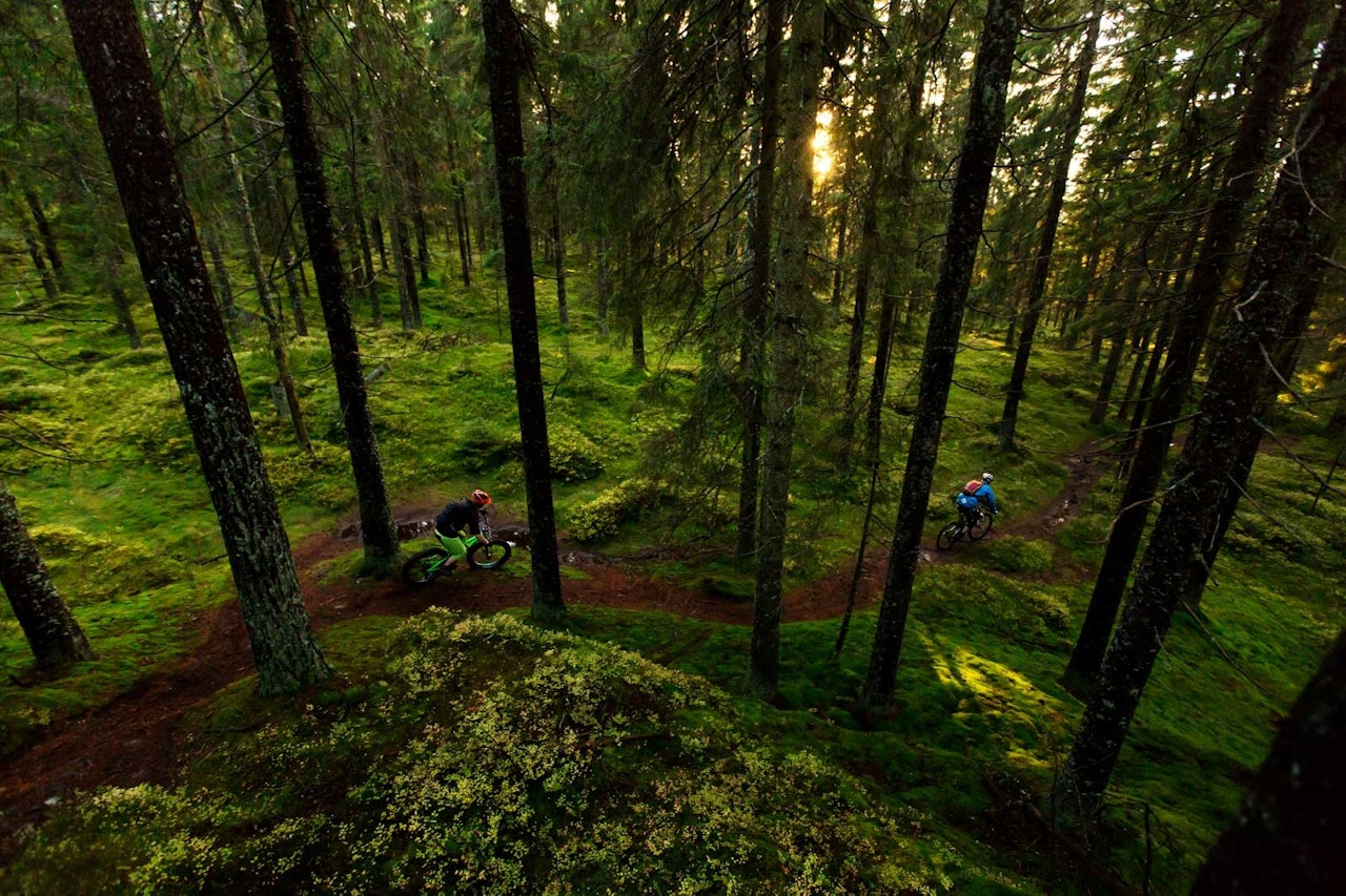 Lillomarka med sine frodige grønne skoger er et fotogent motiv. Knut Lønnqvist og Bård Sturla Stokke utnytter de siste solstrålene en sen høstkveld. / Stisykling i Norge.