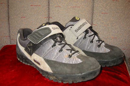 Classy! Men det er ikke hver dag de får lov til å krype opp i sofaen. Classy! Men det er ikke hver dag de får lov til å krype opp i sofaen.