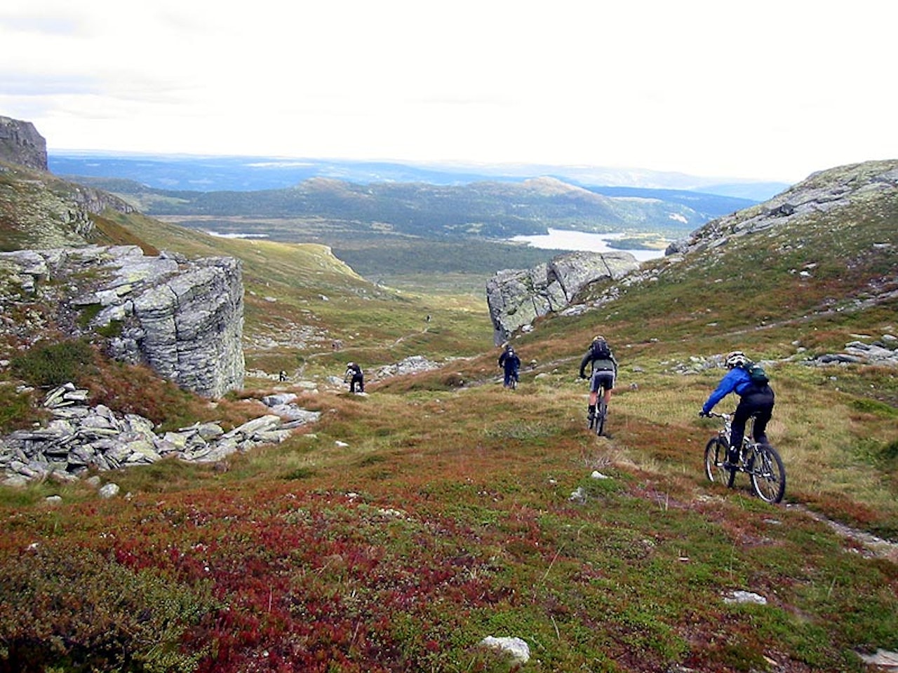Oh yess: Utflukt-syklister på vei ned mot setrene i Gamledalen i august i fjor - langs det enkelte mener er Skeikampens fineste nedkjøring. Har du ikke prøvd den? Bli med hit i august! Oh yess: Utflukt-syklister på vei ned mot setrene i Gamledalen i august i fjor - langs det enkelte mener er Skeikampens fineste nedkjøring. Har du ikke prøvd den? Bli med hit i august!