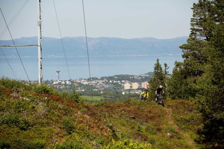 Arne Gran og Odd-Ivar Dahl klatrer opp en av de mange stiene i Estenstadmarka med utsikt mot byen. Tyholttårnet skimtes i bakgrunnen.  Arne Gran og Odd-Ivar Dahl klatrer opp en av de mange stiene i Estenstadmarka med utsikt mot byen. Tyholttårnet skimtes i bakgrunnen.