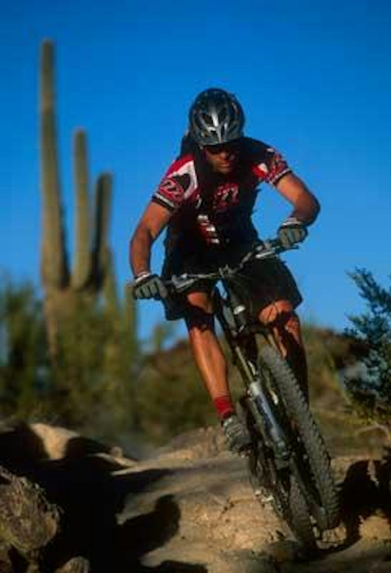 Bildet definitivt ikke tatt i Nordmarka. Bildet definitivt ikke tatt i Nordmarka.