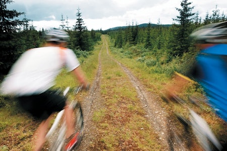 Målgangen er litt endret i forhold til tidligere år. Kryssingen av hoppbakken er tilbake der Birken gikk for 10-15 år siden. birken birkebeinerrittet