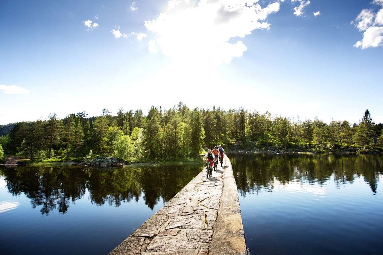 Petter Andreas Strøm, Gaute Reitan og Svenn Fjeldheim nyter en vakker soldag på stiene mellom Nerdammen og Drammen Skisenter. / Stisykling i Norge Petter Andreas Strøm, Gaute Reitan og Svenn Fjeldheim nyter en vakker soldag på stiene mellom Nerdammen og Drammen Skisenter. / Stisykling i Norge