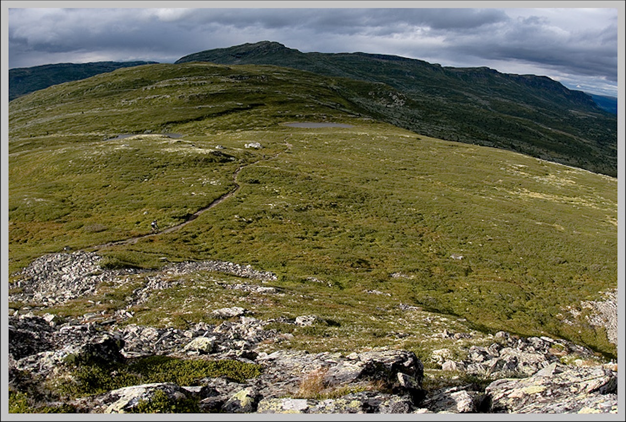 Dette er det vi alle kom for. Det vi fikk var dette med en dasj gjørme attåt. Dette er det vi alle kom for. Det vi fikk var dette med en dasj gjørme attåt.