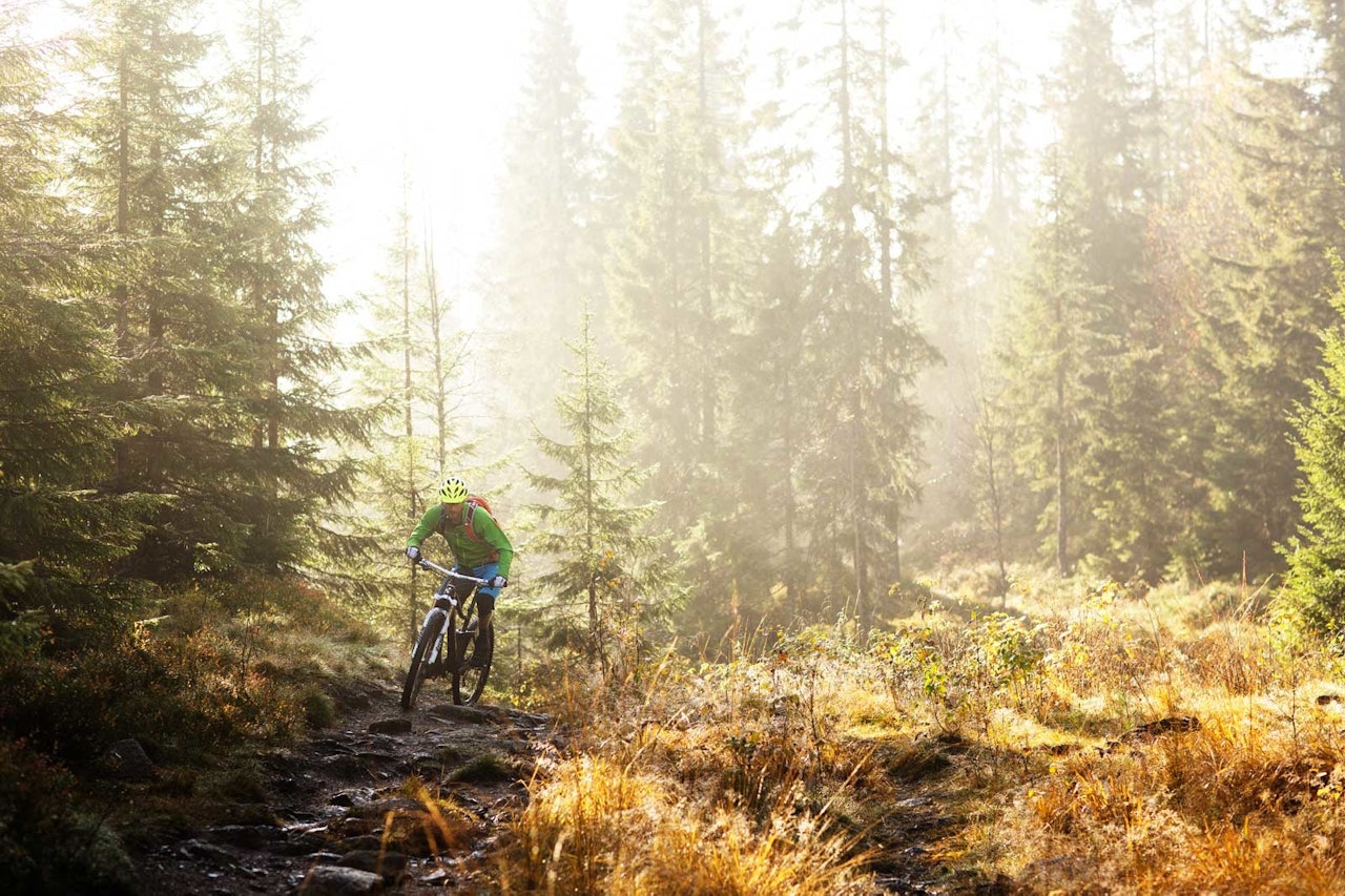Rune Røsten nyter stillheten i Nordmarka en tidlig søndagsmorgen på vei mot Skjennungstua. / Stisykling i Norge Rune Røsten nyter stillheten i Nordmarka en tidlig søndagsmorgen på vei mot Skjennungstua. / Stisykling i Norge