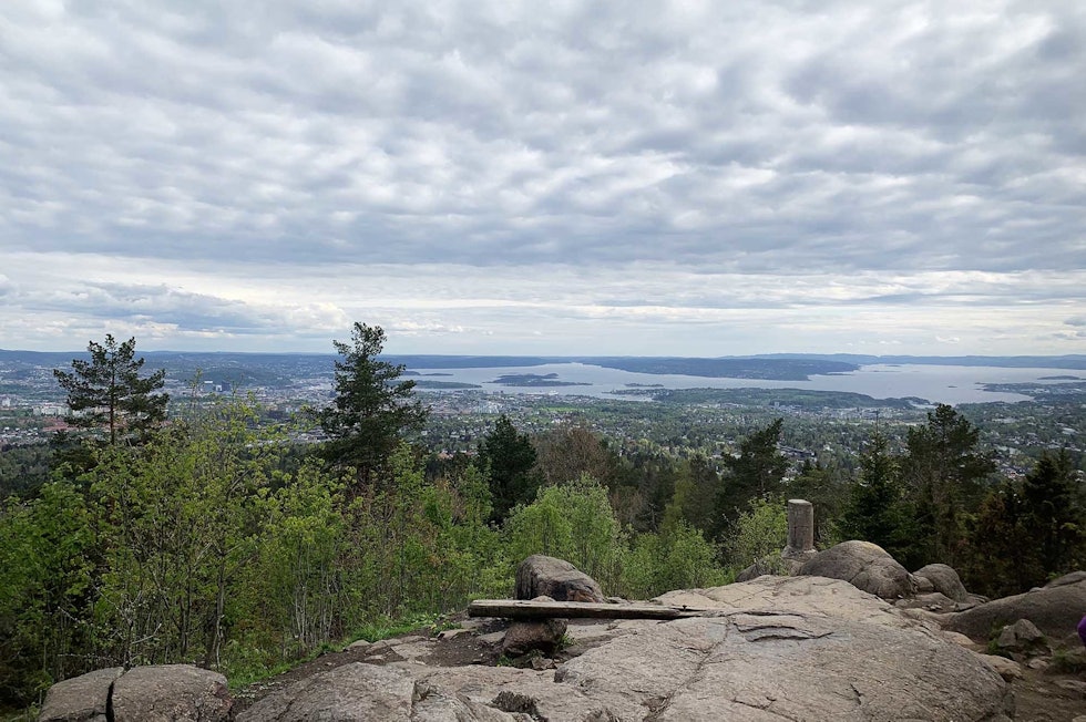 POPULÆRT: Vettakollen gir deg god utsikt over marka og byen - her ser du også rett bort på Holmenkollen. Foto: Kristoffer H. Kippernes vettakollen sykling oslo