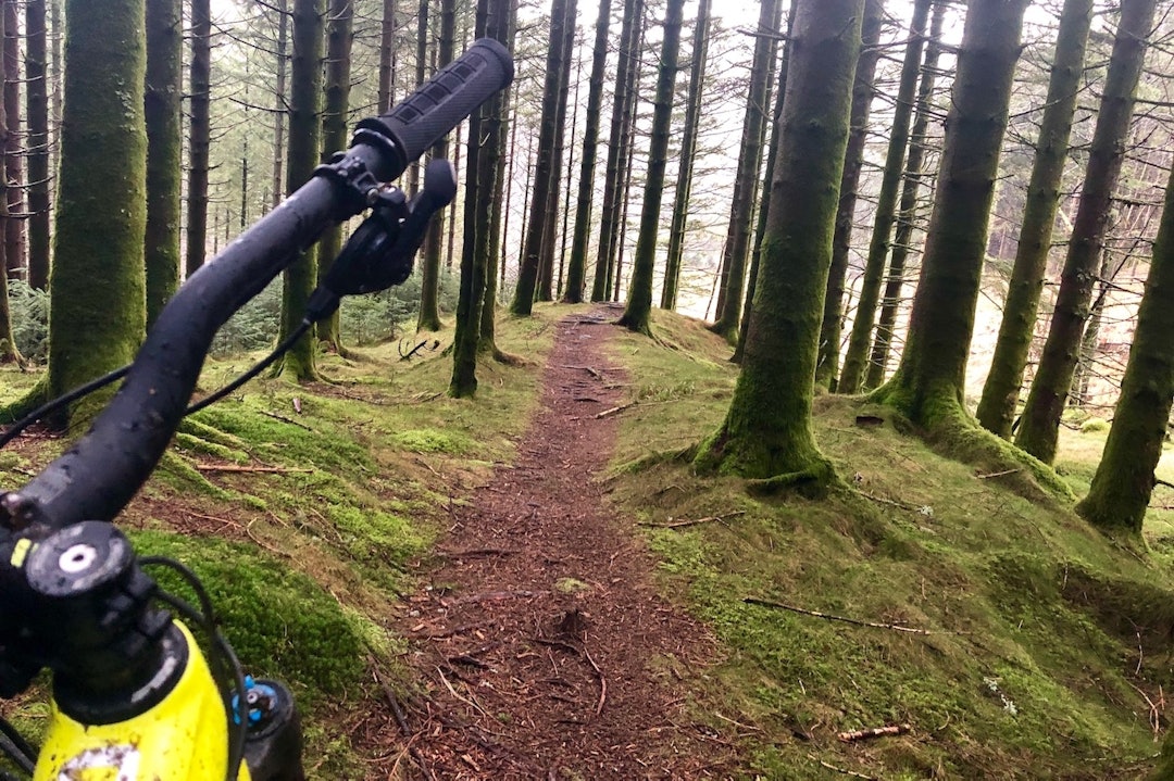 Fra bunnen av Moltekremstien, en av de populære stiene som NOTS Bergen vil ta ansvar for å vedlikeholde og utbedre. Foto: Espen Johnsen Fra bunnen av Moltekremstien, en av de populære stiene som NOTS Bergen vil ta ansvar for å vedlikeholde og utbedre. Foto: Espen Johnsen