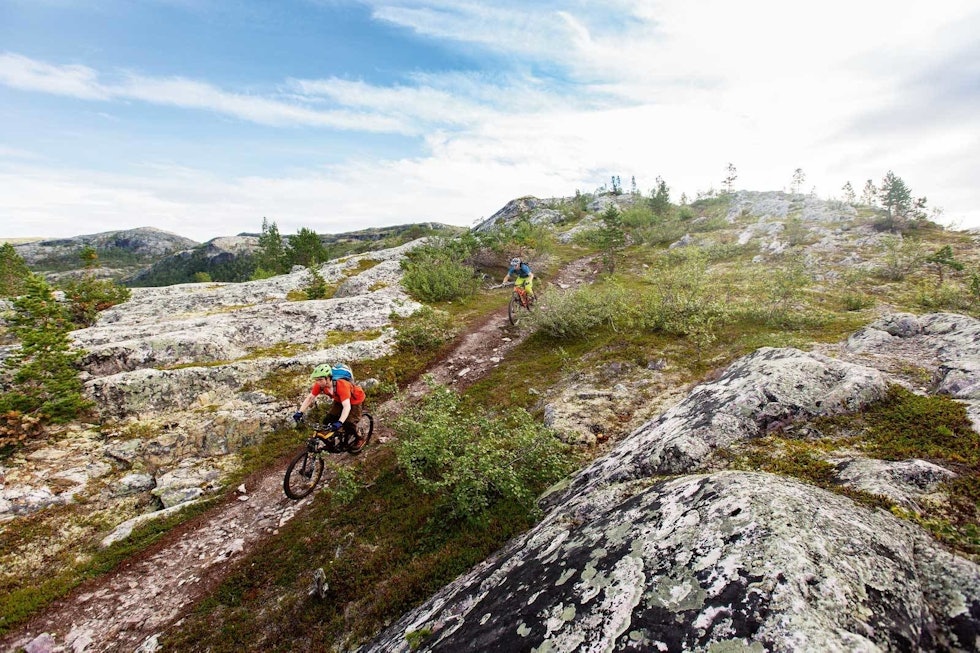 BRA STI: Alta har mye mer å tilby enn bare den karakteristiske vidde-syklinga, og er absolutt verdt turen. Foto: Kristoffer H. Kippernes stisykling-alta-borras