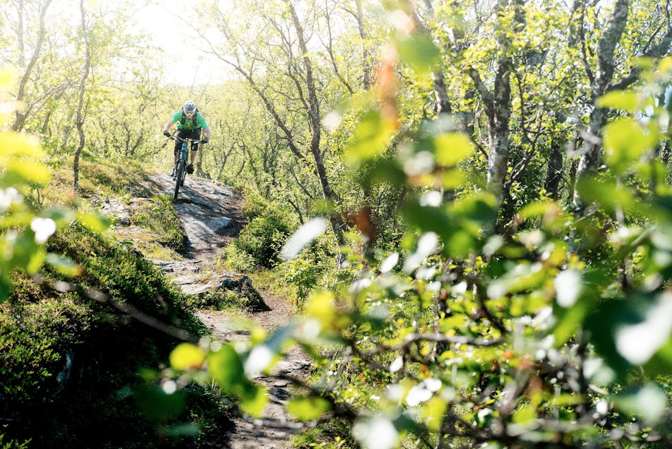 MOAB: William Salminen flyr lavt over Harstads eneste svaparti mens han kontemplerer dets ironiske kallenavn MOAB: William Salminen flyr lavt over Harstads eneste svaparti mens han kontemplerer dets ironiske kallenavn